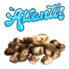 Giantis brand logo with cluster of fresh truffles