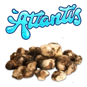 Giantis brand logo with cluster of fresh truffles