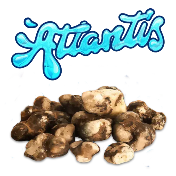 Giantis brand logo with cluster of fresh truffles