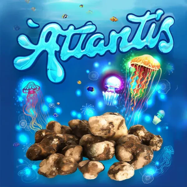 Blue Aquantis logo with jellyfish and glowing truffles