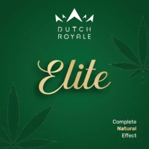 Dutch Royale Elite logo with gold text on green background