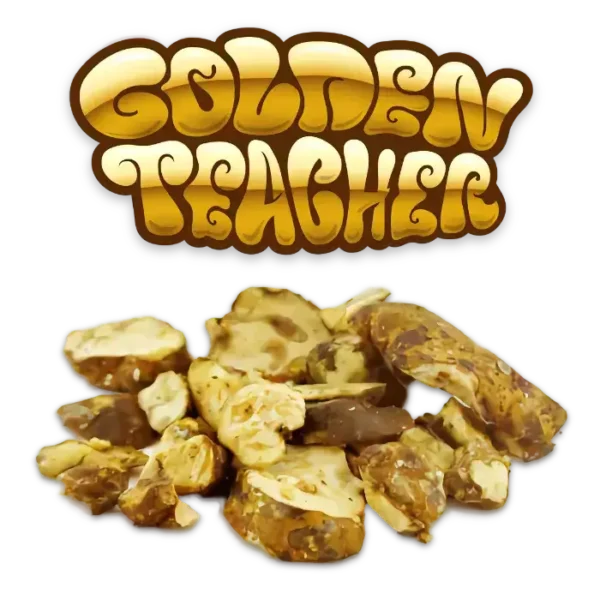 Golden Teacher mushrooms logo and product