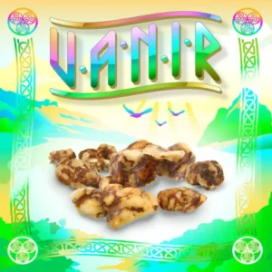 Vanir-psilocybe-magic-truffles.webp